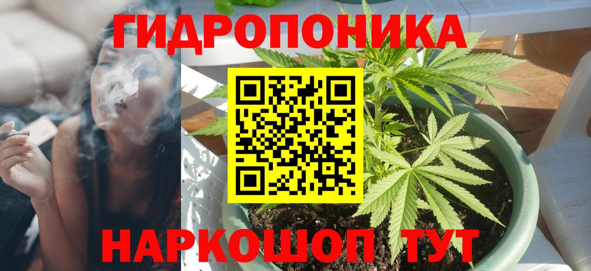 Тамбов  Шишки марихуана OG Kush  Вход с VPN  Марихуана OG Kush  Конопля VHQ 